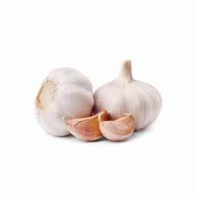 Knoflook Vers (500gr)
